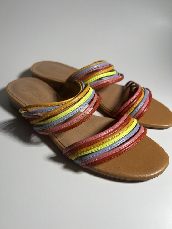 Madewell Shoes - Madewell Meg Slide Micro Strap Leather Sandals Rainbow Women’s Size 6.5
